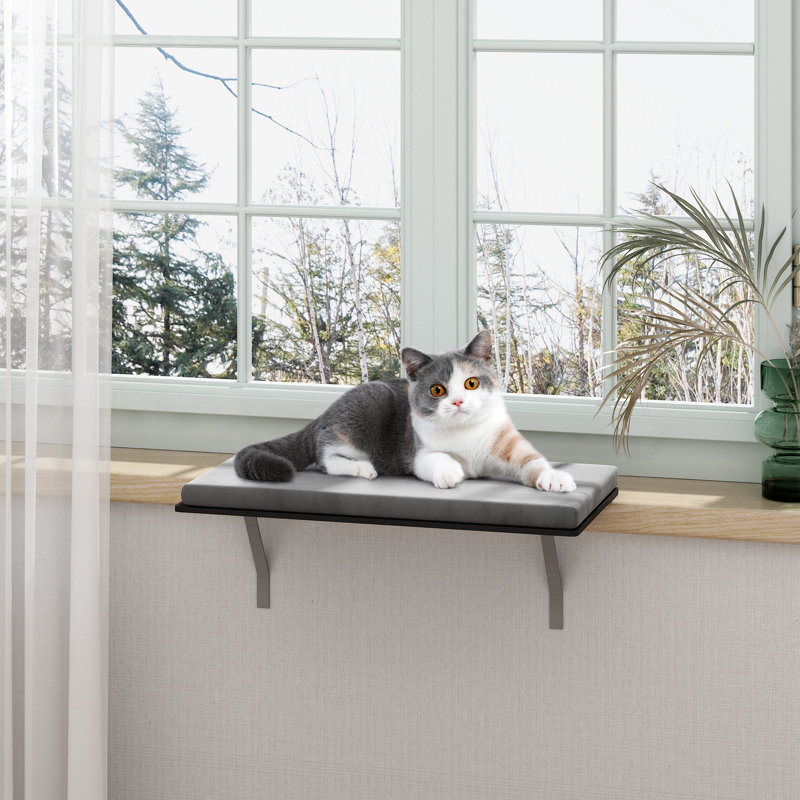 Ozbourn Cat Window Perch Mounted Sunny Seat