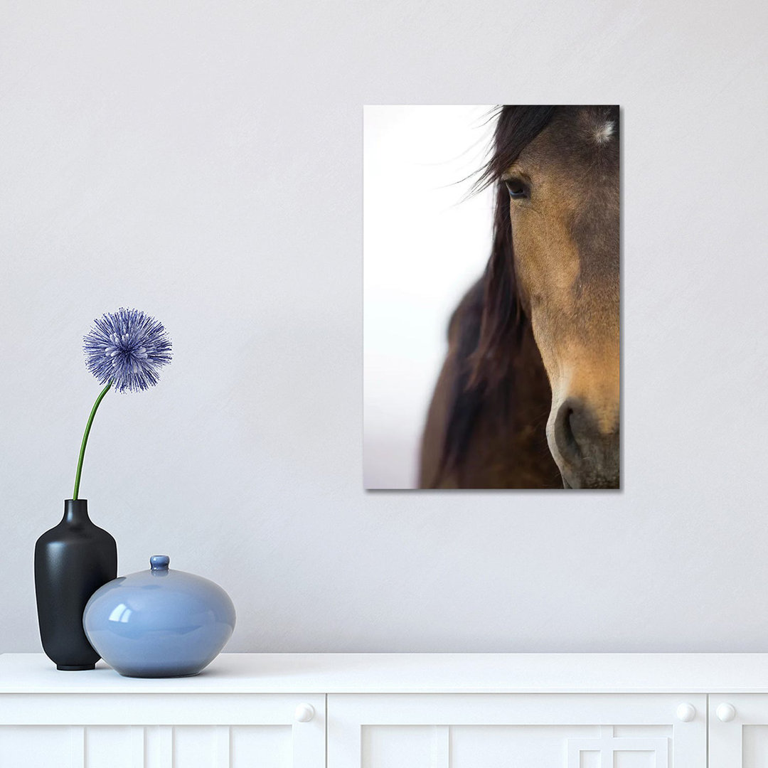 Namib Desert Horse, Namib-Naukluft National Park, Namibia by Cyril Ruoso - Wrapped Canvas Print