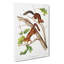 Soft-haired Squirrels by J.W. Audubon - Wrapped Canvas-55340546
