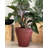 TruDrop Rim Modern Self Watering Plant Pot-348877685-300519696