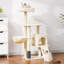 Arbre à chat 42,5 po H Elgin-2104923852-2104923843