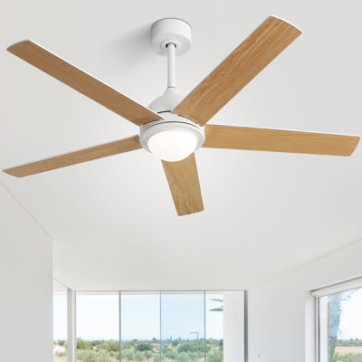 Julicia 52'' Ceiling Fan with LED Lights and Wall Switch