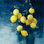 «Lemon Grove II» par Julia Purinton, reproduction d'art sur toile