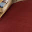 Tapis intérieur / extérieur rouge Mullican Sandy-792191487