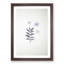 White Daffodil Dismantled - Framed Print-55612779-55612780