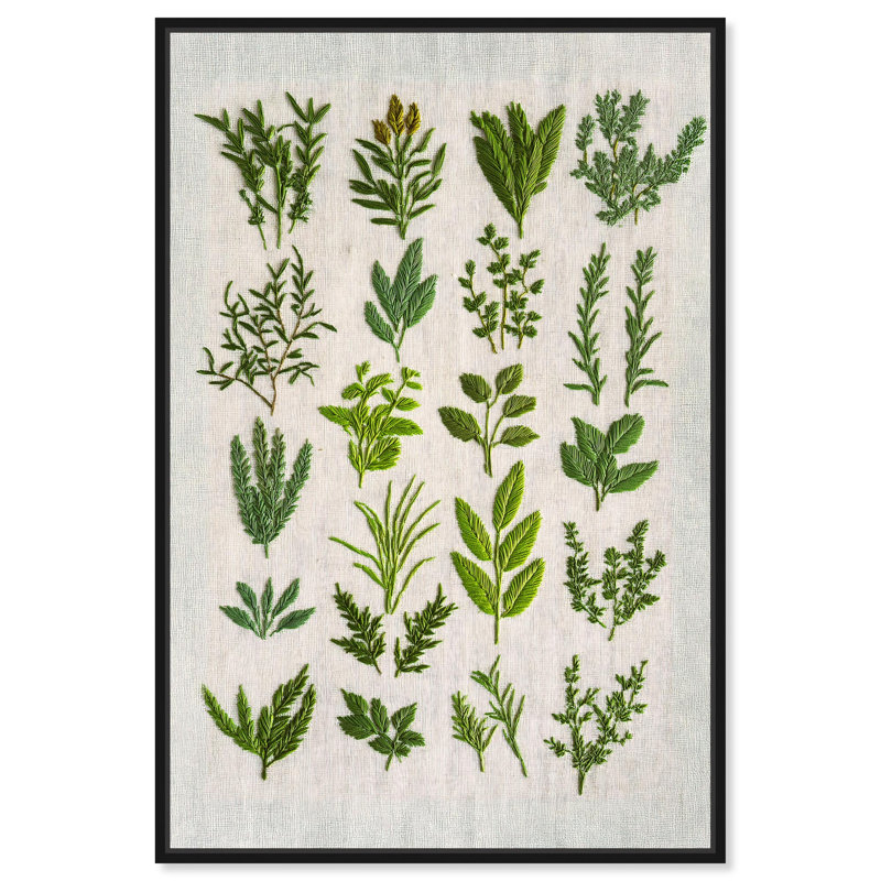 Tissu de fougère fougère I, impressions florales sur toile par , H 46 po x l 31 po, Structure noire