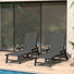 Chaise longue d'extérieur inclinable en poly avec roues et porte-gobelet Brighton (ensemble de 2)