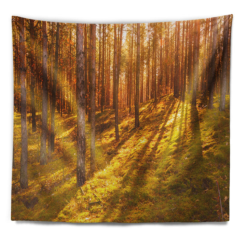 Beaux rayons de soleil dans une tapisserie de forêt épaisse, H 32 po x l 39 po