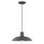 Luminaire suspendu en forme de dôme à 1 lumière Alysen-1655469089