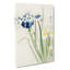 Irises by Ohara Koson - Wrapped Canvas-55363162
