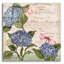 «Parisian Hydrangeas I» par Paul Brent-726485688