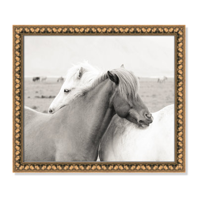 Icelandic Meadow Horses by Danita Delimont - Picture Frame Photograph on Paper