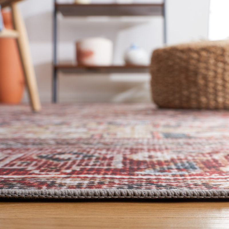 Allan Washable Oriental Indoor Rug, Rectangle 6' x 9'