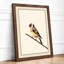 Finch on Branch Botanical - Framed Print-1248822402-1248822406