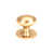 Polished Bronze