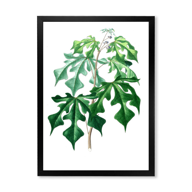 Feuilles de plantes II - reproduction d'art sur toile, H 32 po x l 16 po x P 1 po, Noir