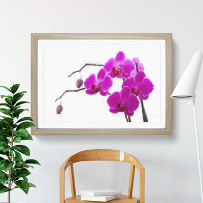 Orchid Flowers Vol.2 - Framed Print