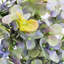 French Hydrangea   Set of 6   9" x 6" x 34"   Multicolor