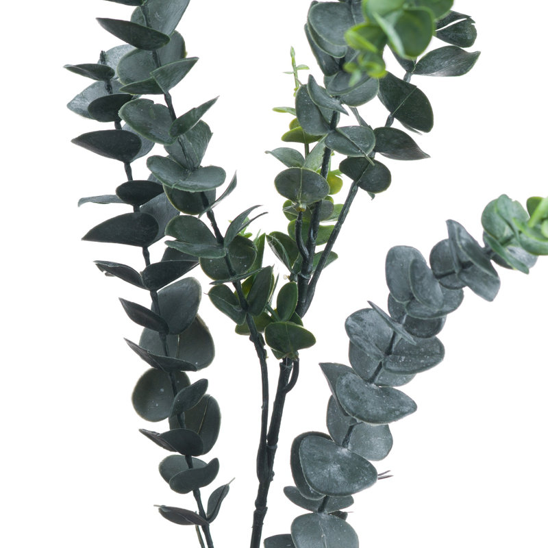Arrangement