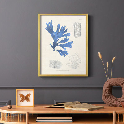 Blue Marine Algae VIII Framed Print - Solid Wood