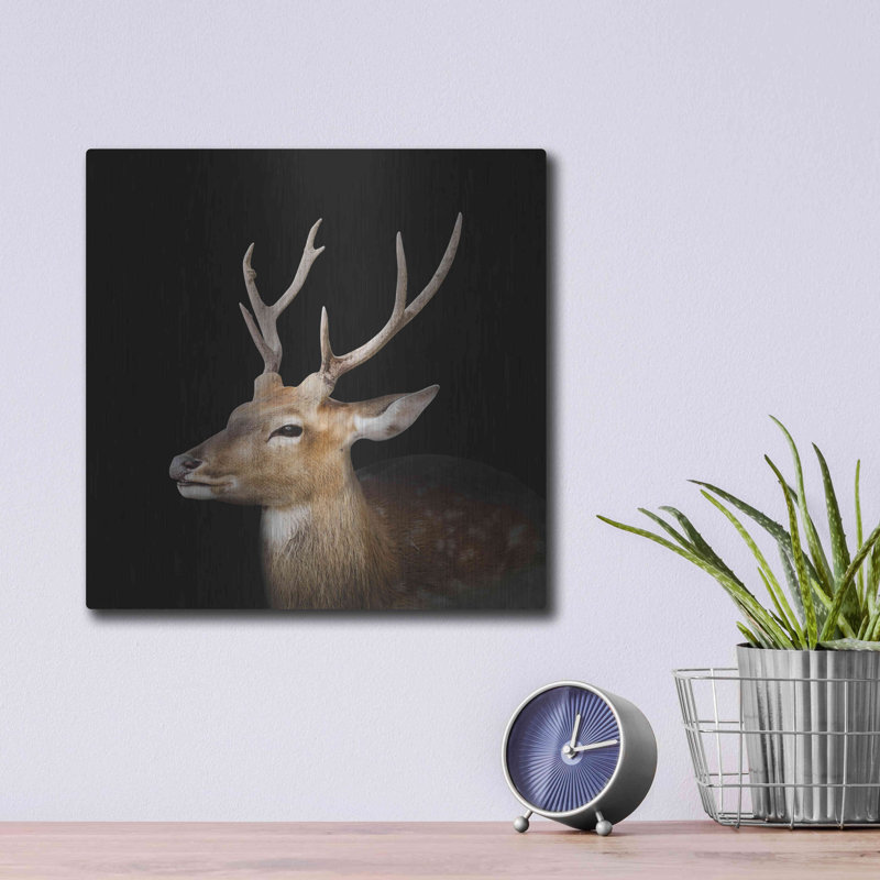 "Sika Deer" par Luxe, H 12 po x l 12 po
