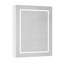3-Shelf Bathroom Medicine Cabinet with LED Lighting-758560739
