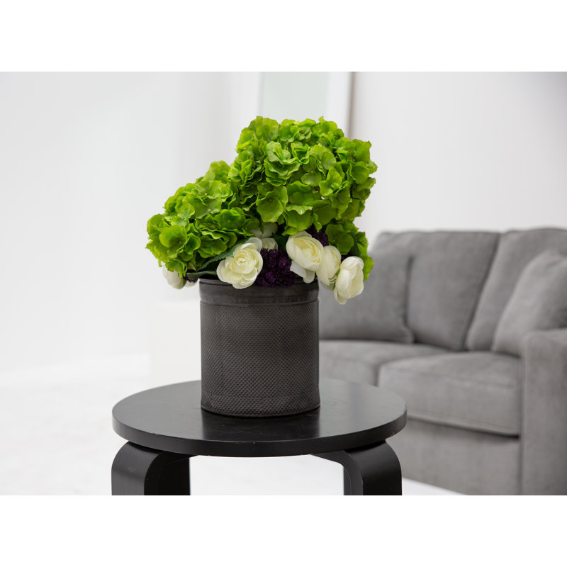 Plante à feuillage ranunc et hortensia dans un pot de fleurs