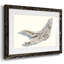 Étude Driftwood III-167451988-167451987