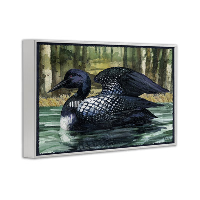 Swimming Woodland Loon Giclee Art by Paul Brent