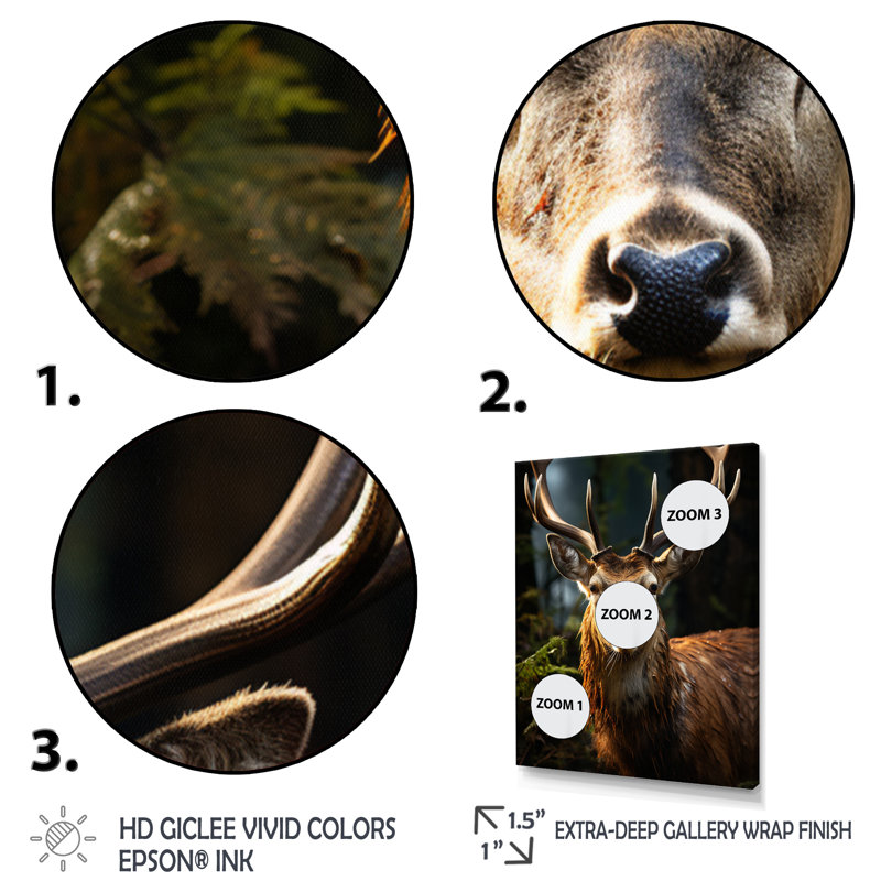 «Badina Brown Deer Portrait Vibrant II», reproduction sur toile, H 40 po x l 30 po x P 1,5 po, Cadre naturel flottant