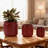 High quality ceramic flowerpot-312386703