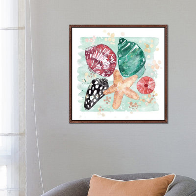 Beachcomber - Shell Medley by Sara Berrenson - Painting on Canvas