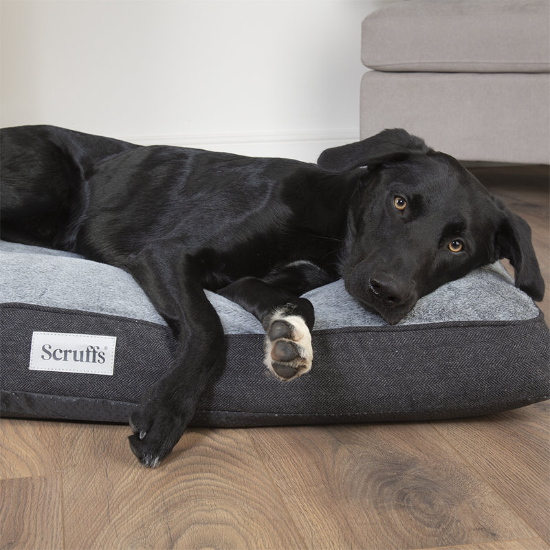 Scruffs Harvard Orthopedic Dog Bed - For Ultra Support & Comfort, 20cm H x 100cm W x 70cm D, Graphite Grey