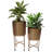 Pot Planter-774159576