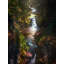 Pewitt's Nest Print by Scott Norris-65825661-65850566