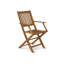 Nayoun Solid Wood Arms Included Patio Folding Chair Set of 2-2110955502-2110955503