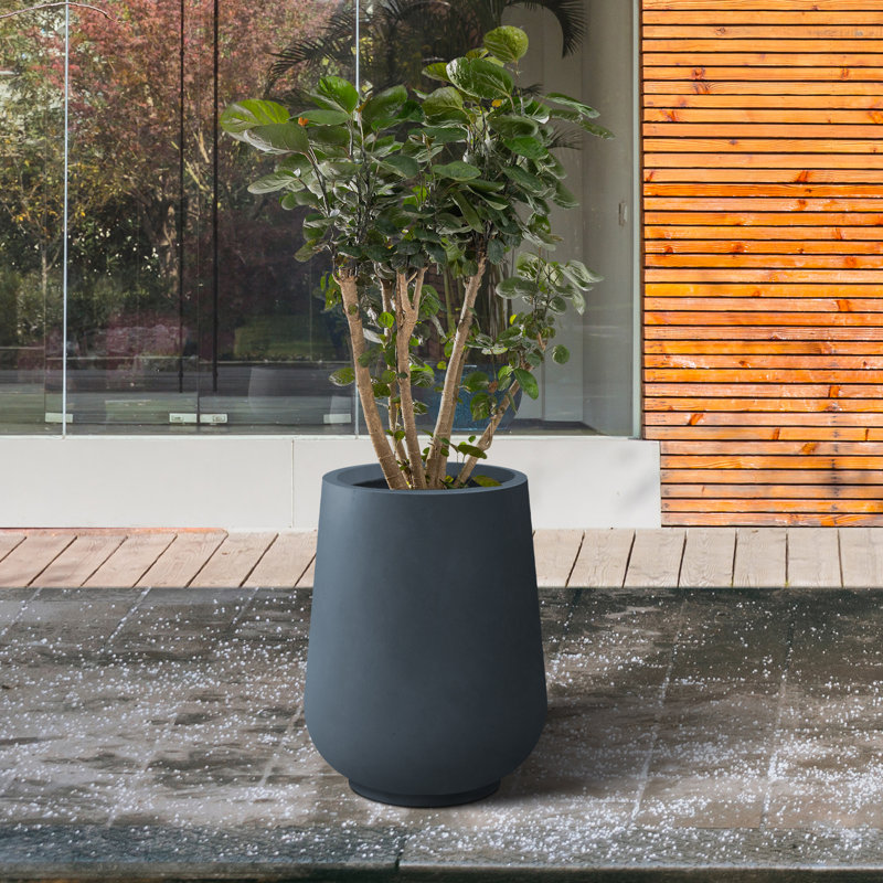 Pot à fleurs en béton Laihla, H 13,8 po x l 10,6 po x P 10,6 po, Gris anthracite