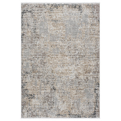 Gints Collection Light Gray Abstract Area Rug