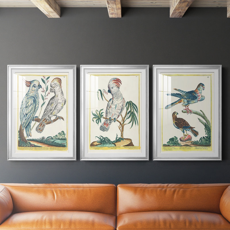 «Pastel Birds I», reproduction encadrée de qualité supérieure - prête à être accrochée, H 24,5 po x l 37 po x P 2,5 po