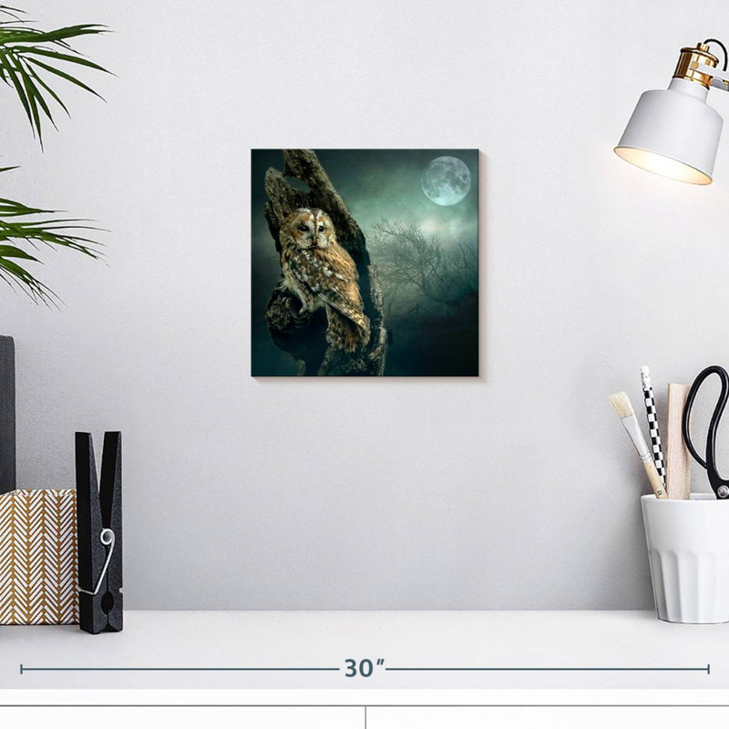 Brampt Owl At Night