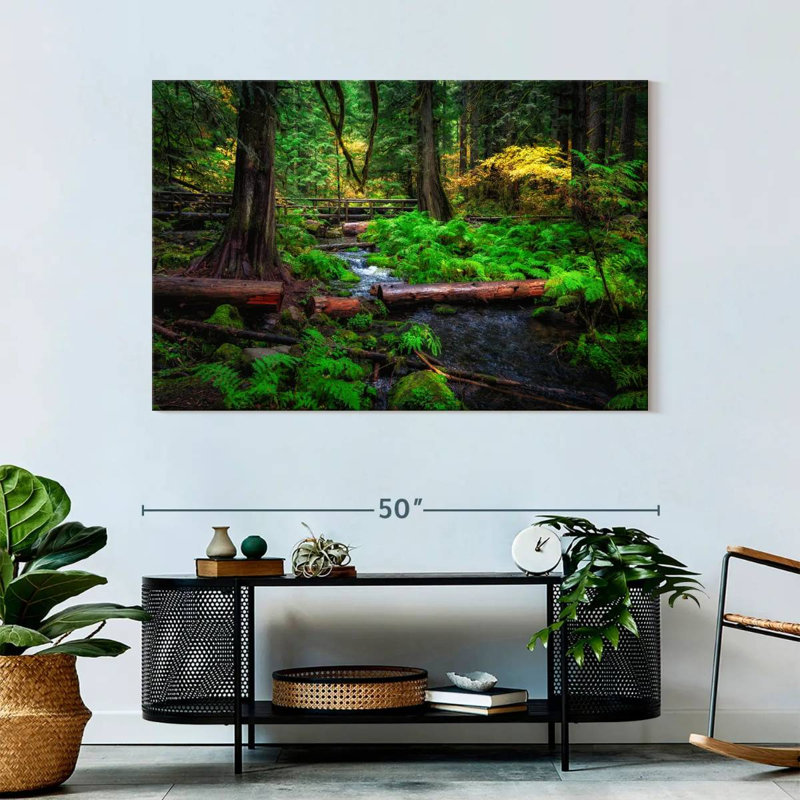 Ruisseau Alvord Willamette National Forest, H 32 po x l 48 po