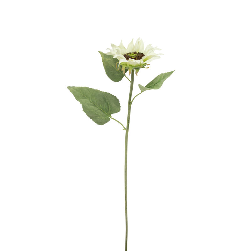 Sprays de tournesol