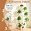 Plant Stand