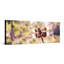 Libellule sur une tige - art mural sur toile panoramique-129919812