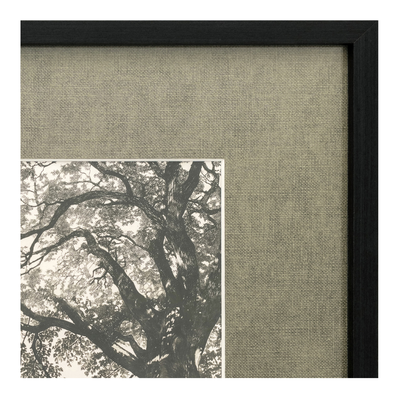 Arise Framed Print
