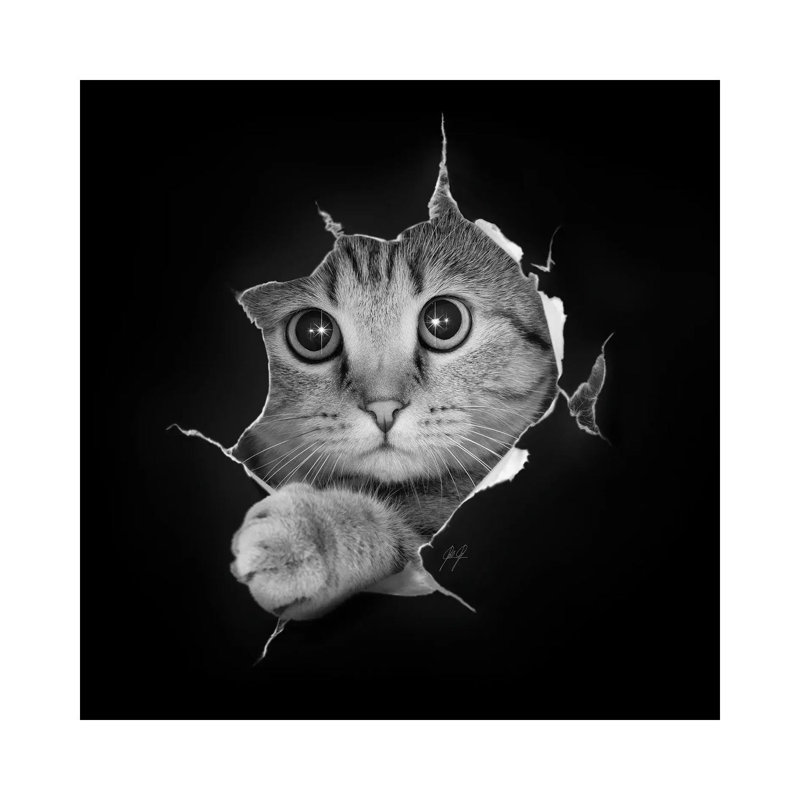 Just Checking by Kathrin Federer - Wrapped Canvas Gallery-Wrapped Canvas Giclée, 45.72 cm H x 45.72 cm W