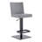 Bucoli Modern Adjustable Swivel Metal Bar Stool-323826949-323826946