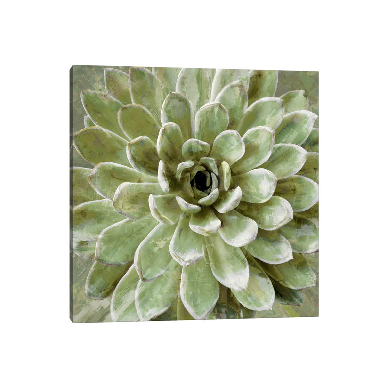 Lindsay Benson - Wrapped Canvas Print, 66.04 cm H x 66.04 cm W x 1.91 cm D