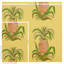 Pineapples Wallpaper-49817562
