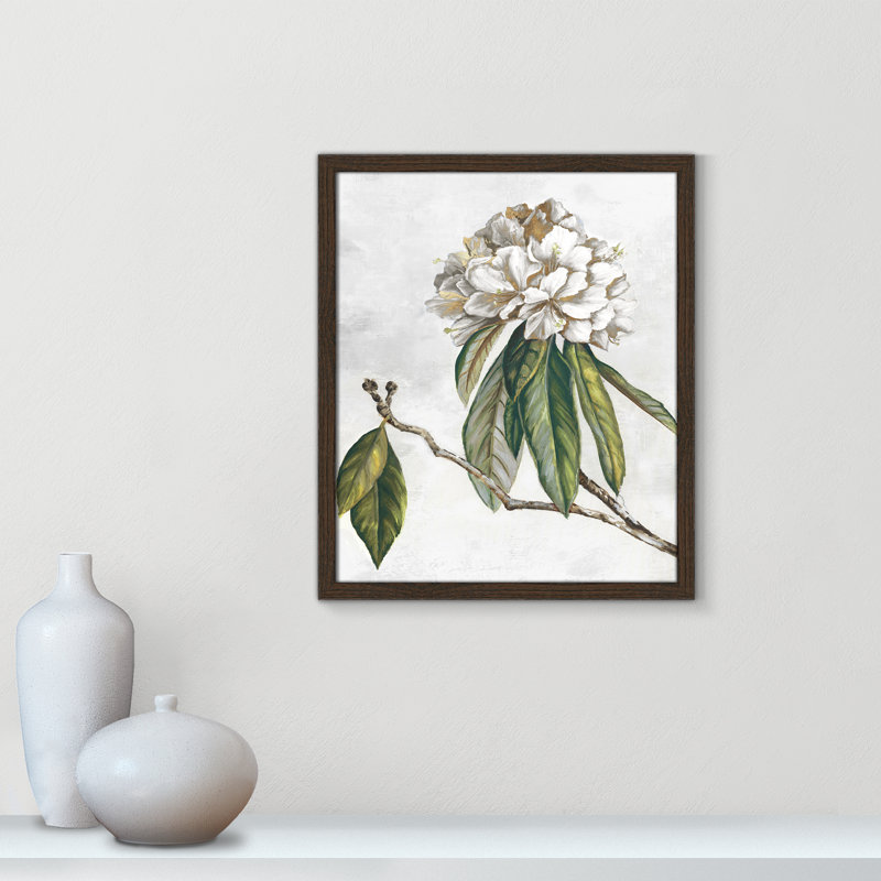 «Pearly Beauty II» par Eva Watts, Grain de bois noyer, L 16 po x H 19 po, Impression encadrée
